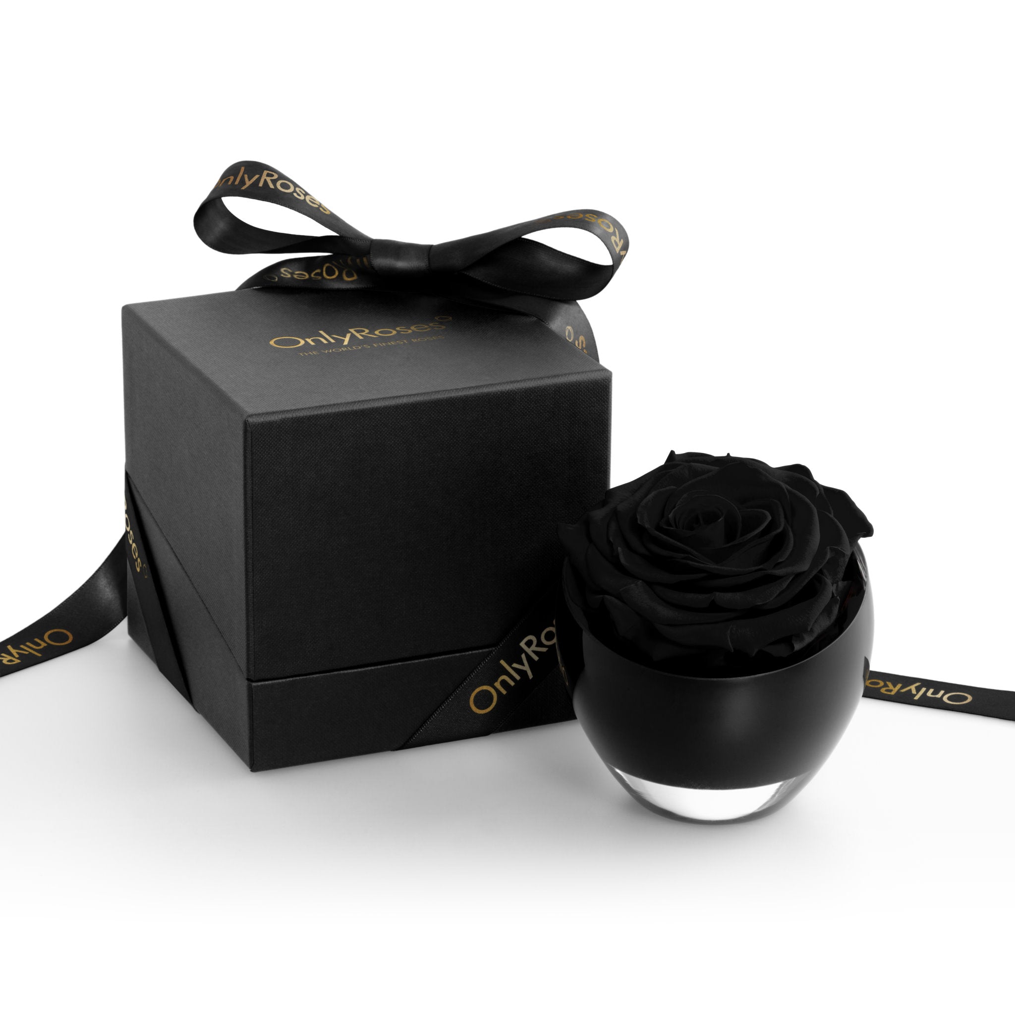 Black rose in a black holder with 'Only Real' branding on a white background