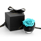 Black box with a black ribbon and a small black container holding a blue rose on a white background.