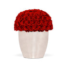 White vase filled with red roses on a white background