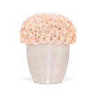 Vase filled with peach-colored roses on a white background