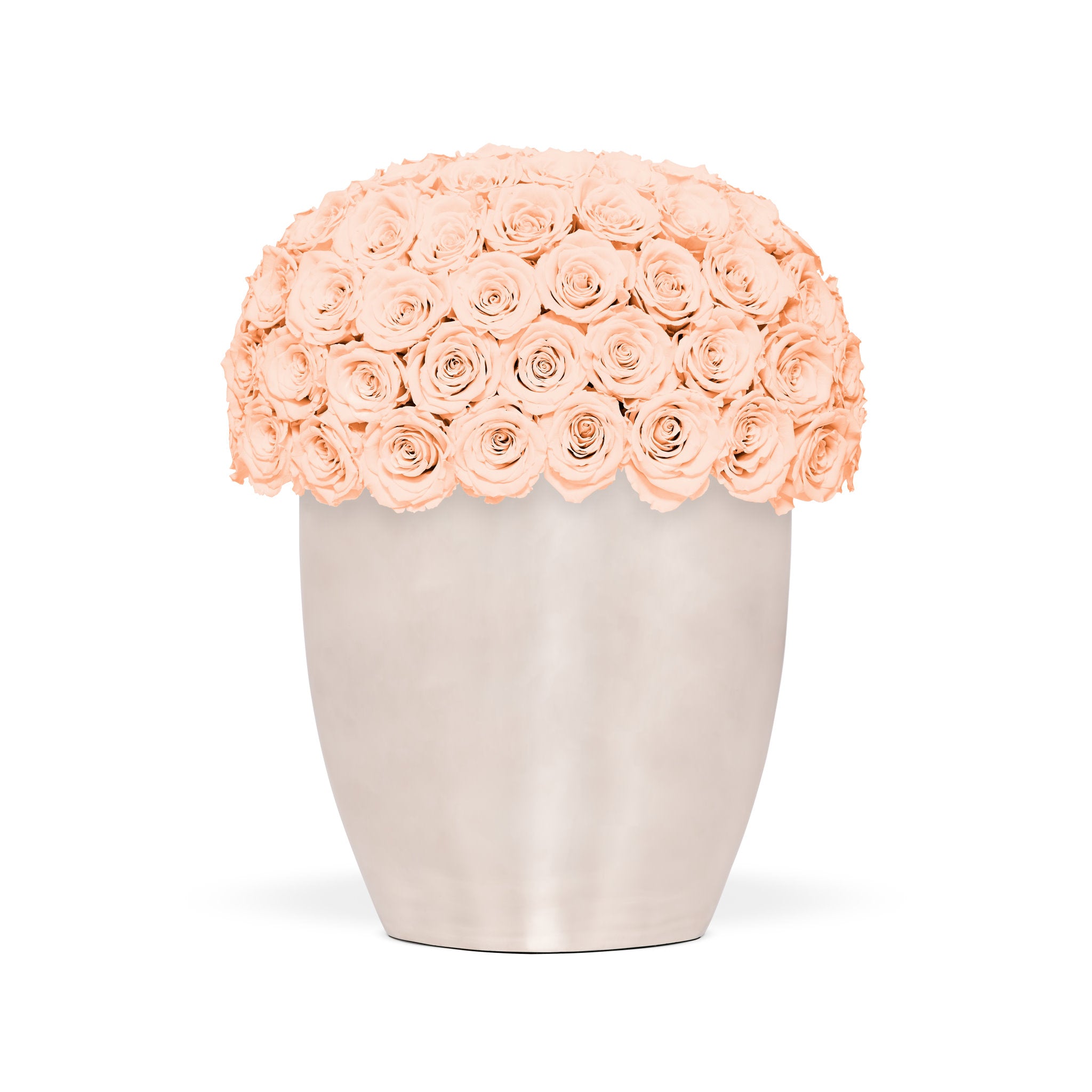 Vase filled with peach-colored roses on a white background