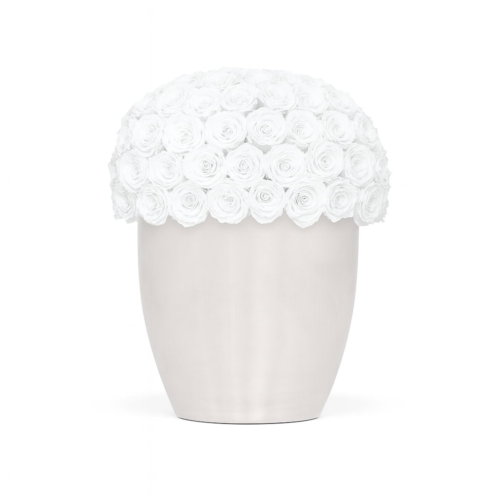 White vase with lace top on a white background