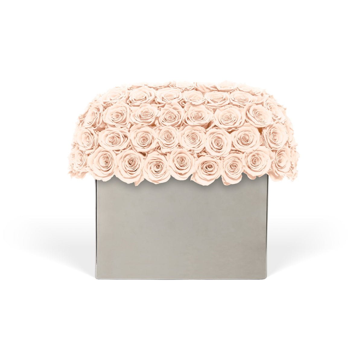 Infinite Rose Modernist - Light Tones | OnlyRoses Qatar