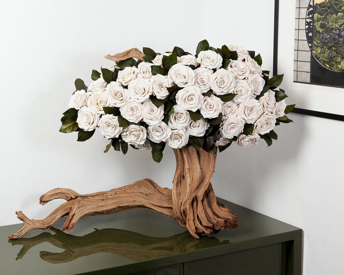 Bespoke Roses – Designed for Your Vase | OnlyRoses Qatar