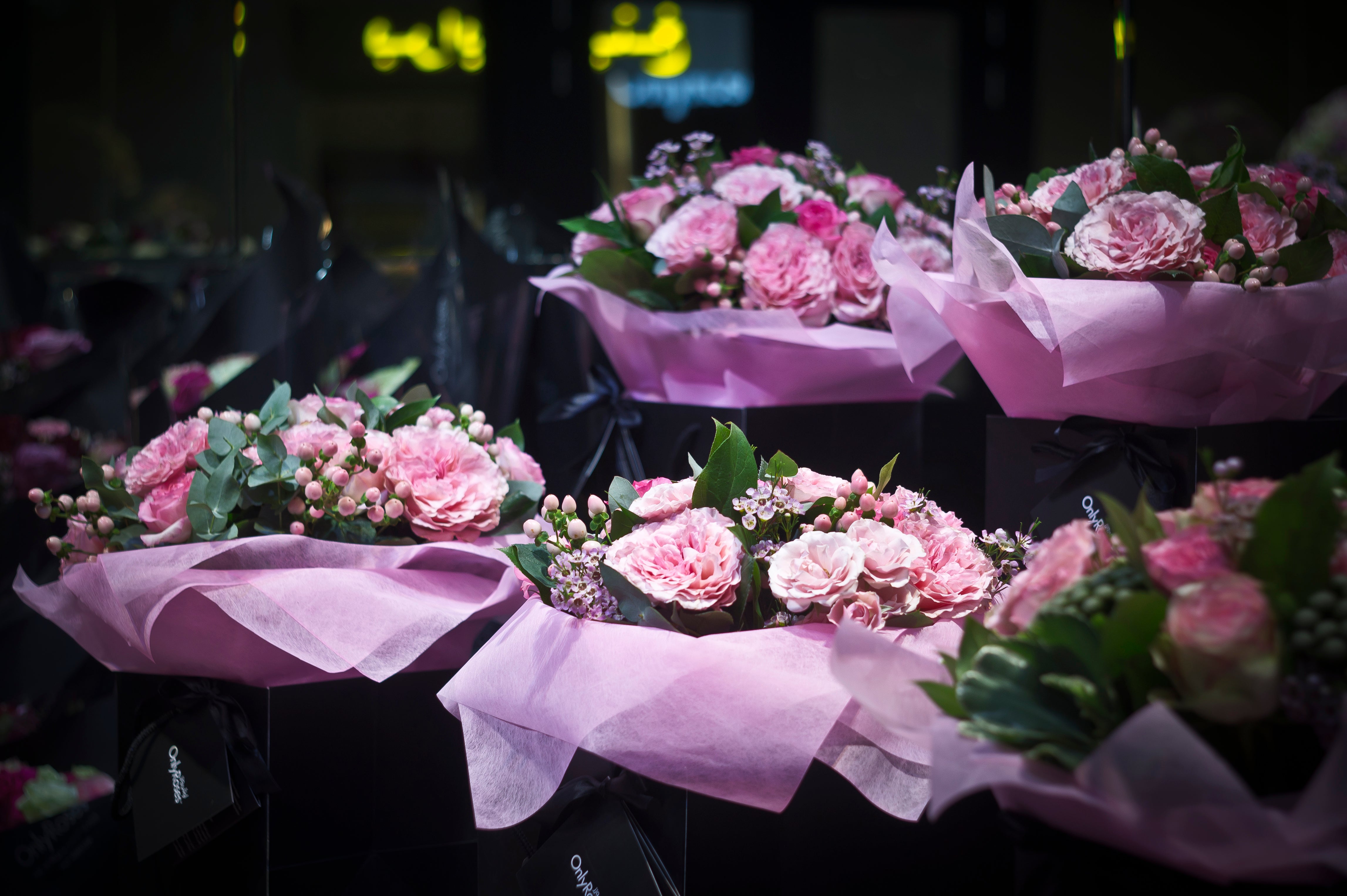 Bouquets of pink flowers wrapped in purple paper on a dark background