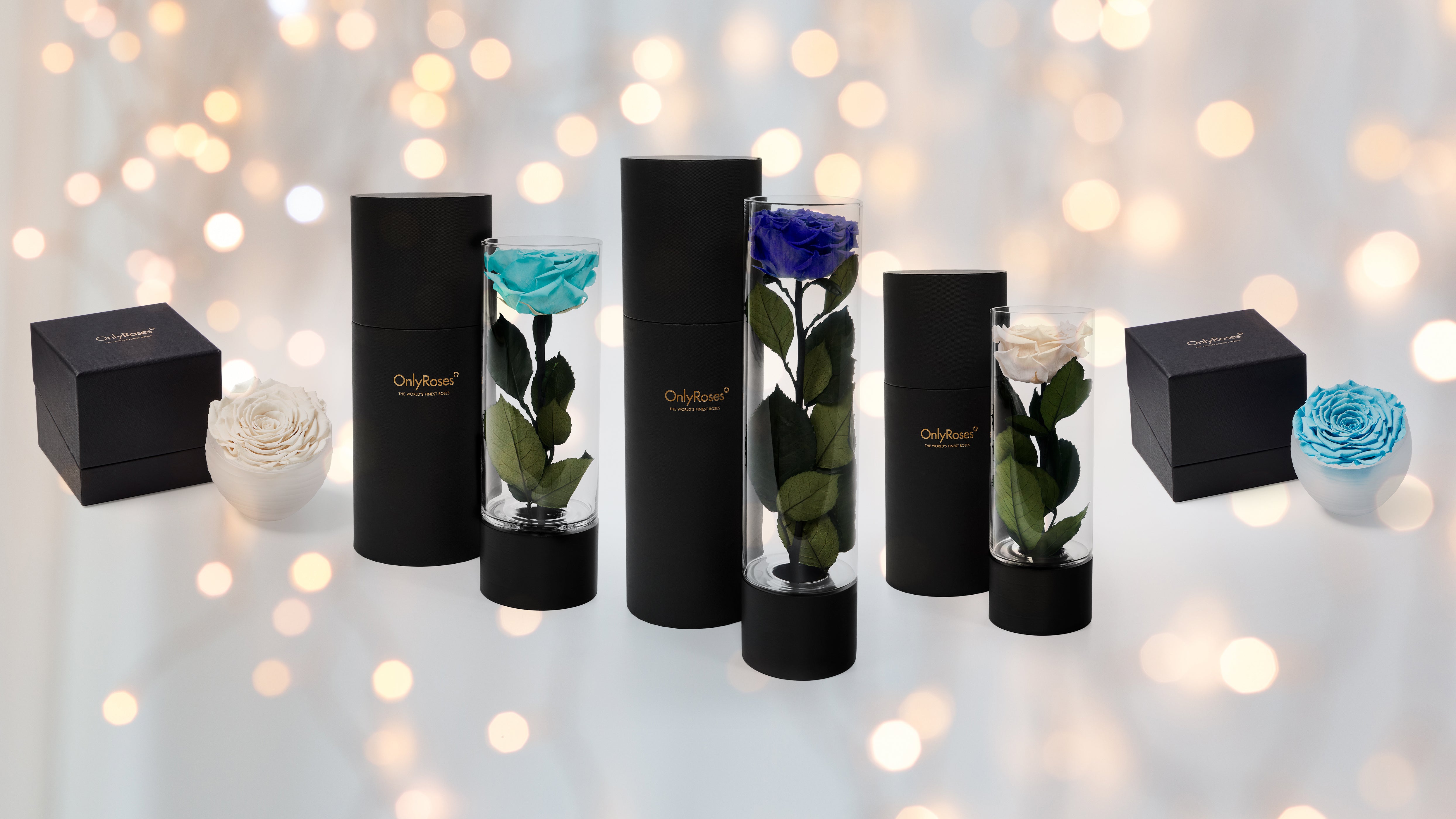 Collection of preserved flower vases with black boxes on a blurred light background