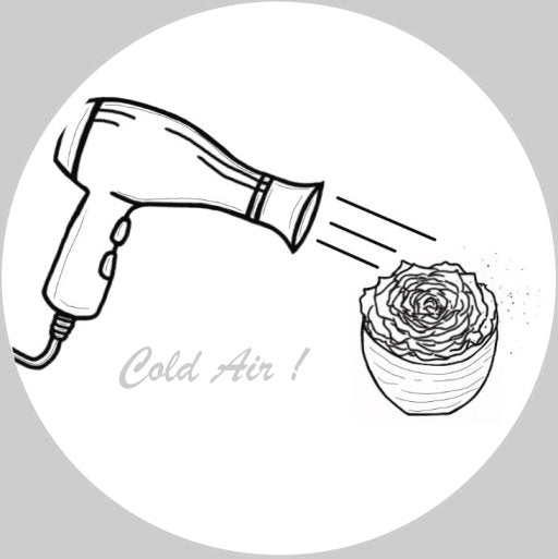 Illustration of a hair dryer blowing on a rose with 'Cold Air!' text.
