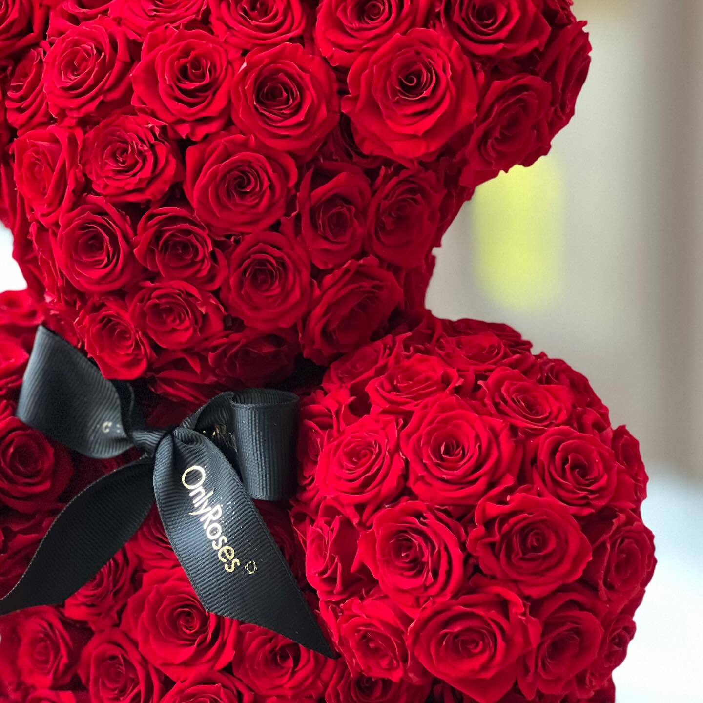 Red rose teddy bear with a black ribbon featuring 'Only Roses' branding.
